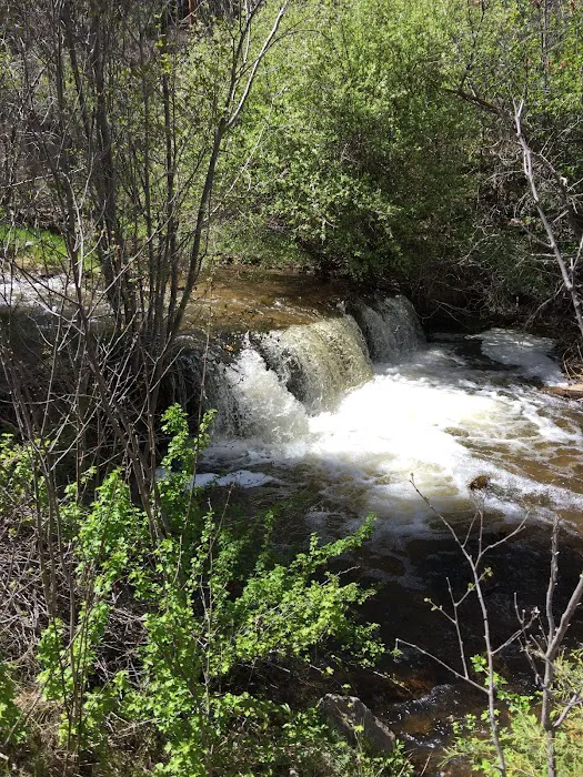 Rio Puerco Campground, Coyote Ranger District, Santa Fe National Forest Picture 10