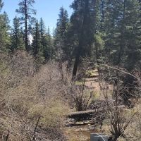 Rio Puerco Campground, Coyote Ranger District, Santa Fe National Forest ico