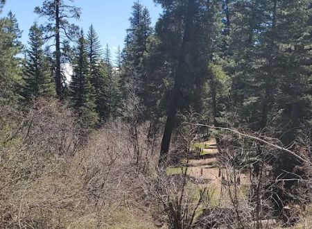 Rio Puerco Campground, Coyote Ranger District, Santa Fe National Forest