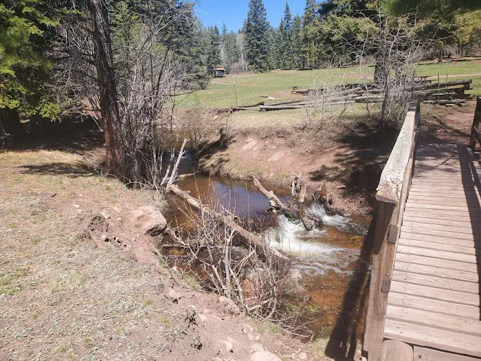 Resumidero Campground, Santa Fe National Forest, Coyote Ranger District Picture 3