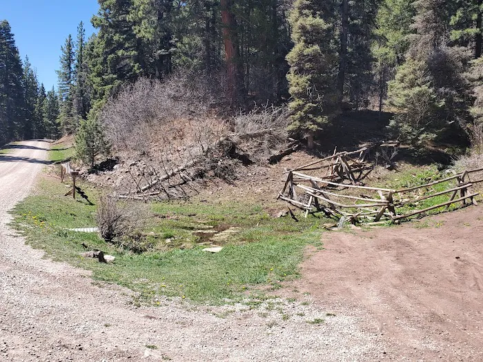 Resumidero Campground, Santa Fe National Forest, Coyote Ranger District Picture 7