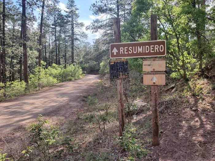 Resumidero Campground, Santa Fe National Forest, Coyote Ranger District Picture 5