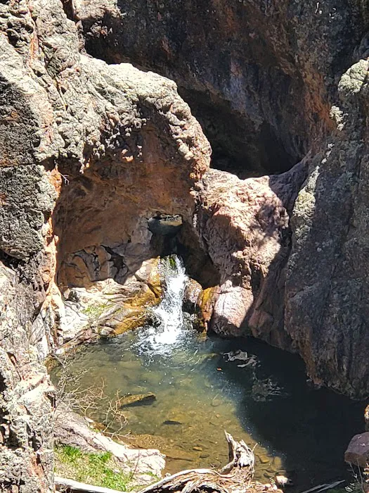Resumidero Campground, Santa Fe National Forest, Coyote Ranger District Picture 8