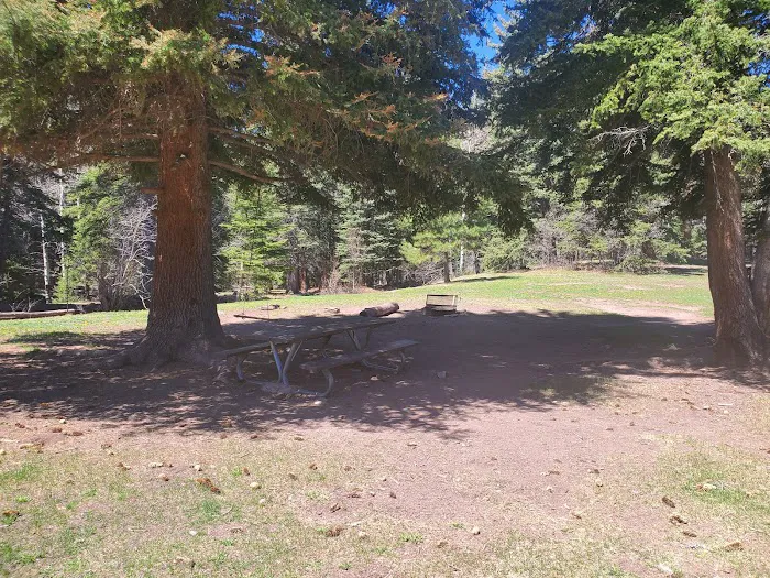 Resumidero Campground, Santa Fe National Forest, Coyote Ranger District Picture 9