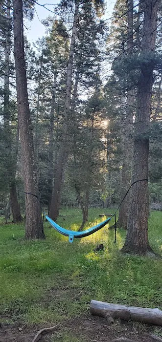 Iron Gate Campground Picture 8