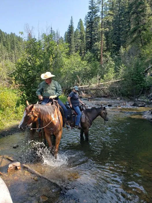 Jacks Creek Horse Camp Picture 1