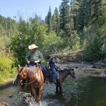Jacks Creek Horse Camp