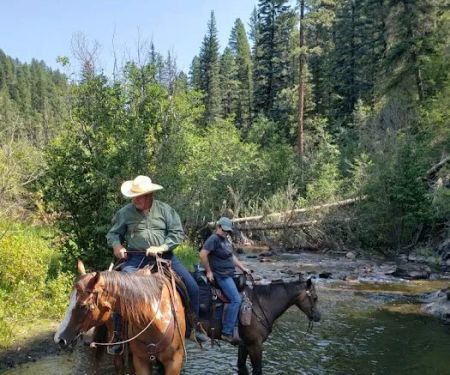 Jacks Creek Horse Camp