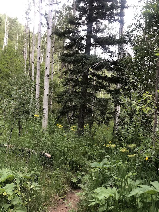 Winsor Creek Fishing Area and Trailhead Picture 3
