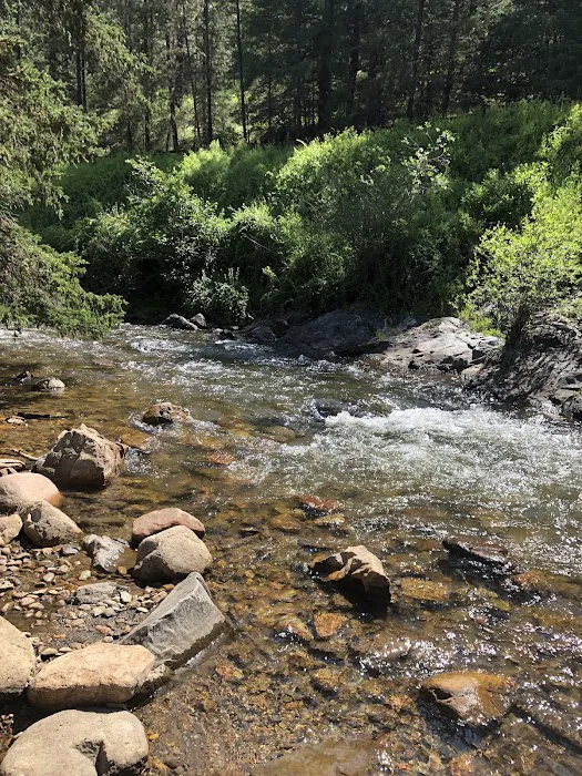 Cowles Ponds Fishing Site Picture 7
