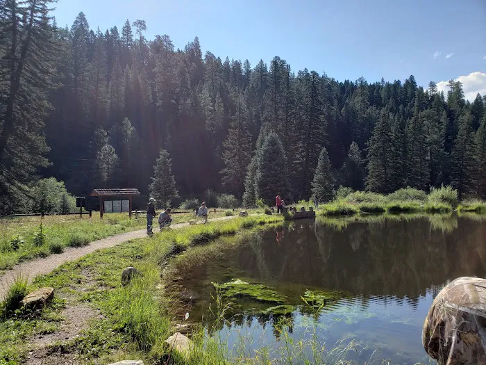Cowles Ponds Fishing Site Picture 4