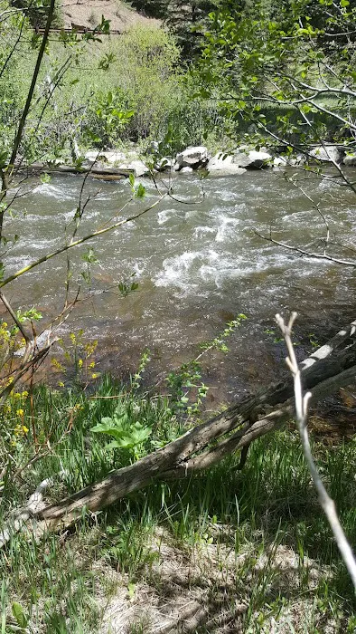 Cowles Ponds Fishing Site Picture 8