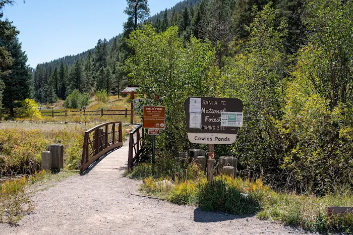 Cowles Ponds Fishing Site Picture 9