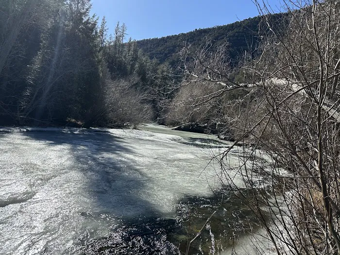 Cowles Ponds Fishing Site Picture 3