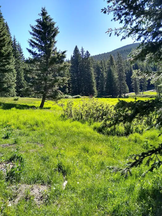 Aspen Basin Campground Picture 2