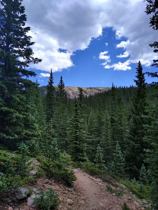 Aspen Basin Campground Picture 1