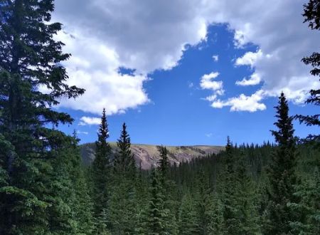 Aspen Basin Campground