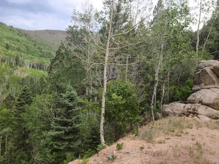 Aspen Basin Campground Picture 7