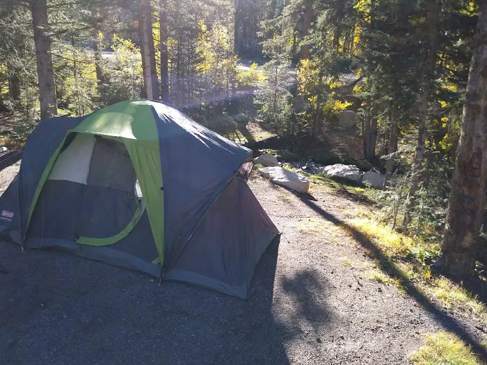 Aspen Basin Campground Picture 5