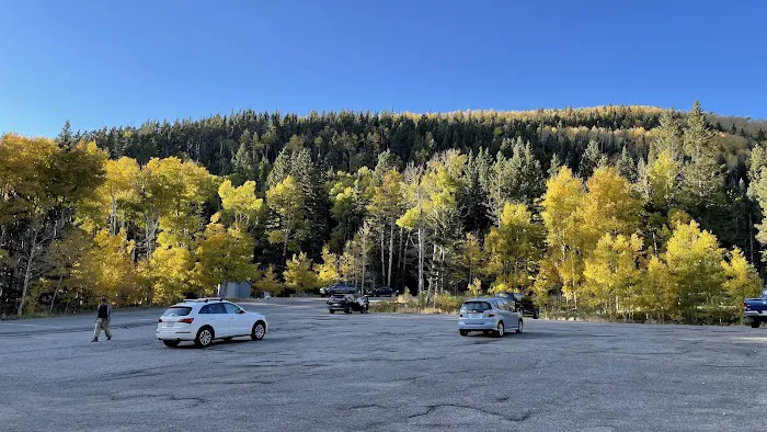 Aspen Basin Campground Picture 4