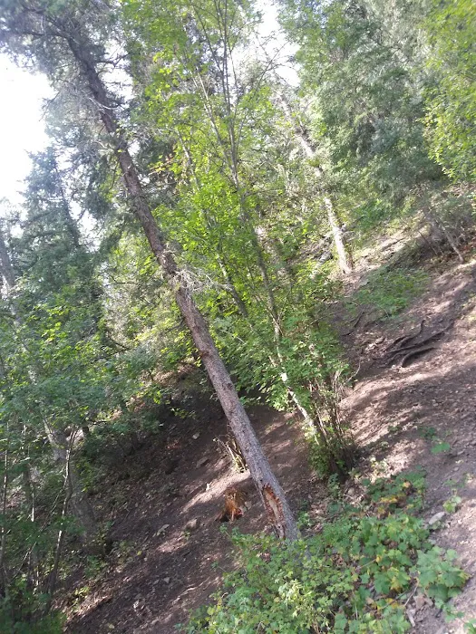HOLY GHOST GROUP AREA Picture 10