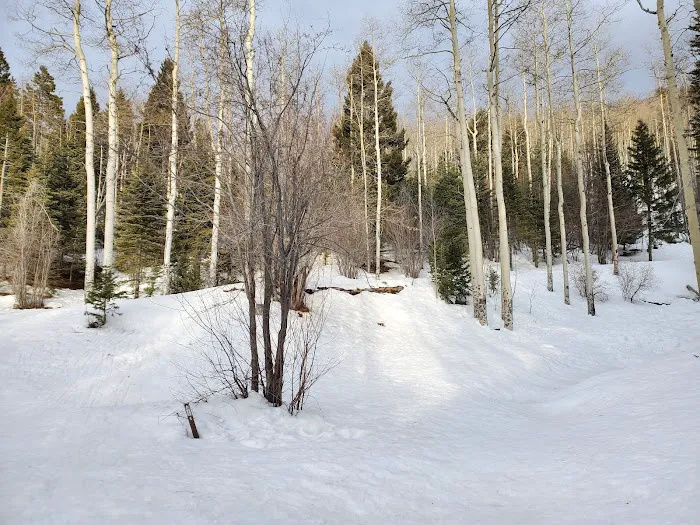Big Tesuque Campground Picture 3