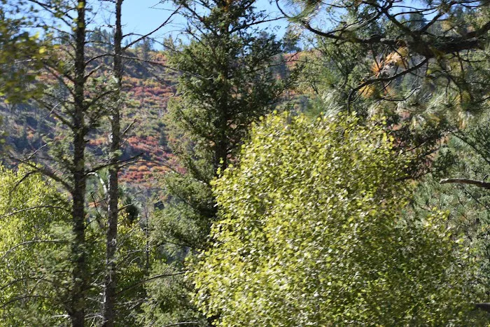 Holy Ghost Campground Picture 1
