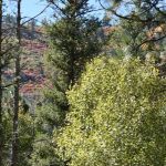 Holy Ghost Campground