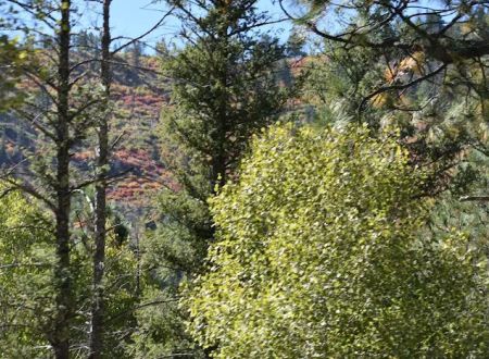 Holy Ghost Campground