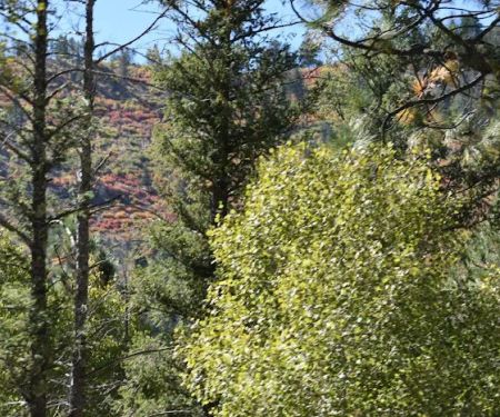 Holy Ghost Campground