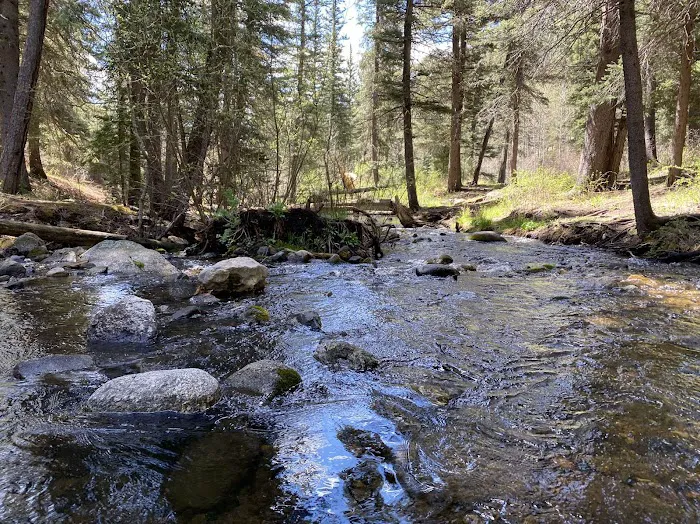Holy Ghost Campground Picture 3