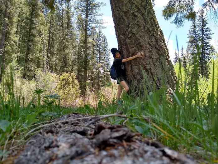 Holy Ghost Campground Picture 5