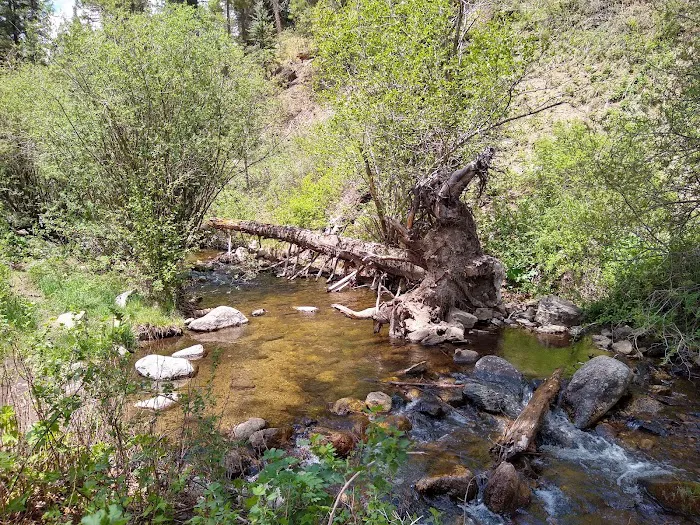 Holy Ghost Campground Picture 4