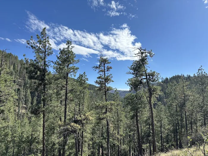 Mora Campground Picture 4