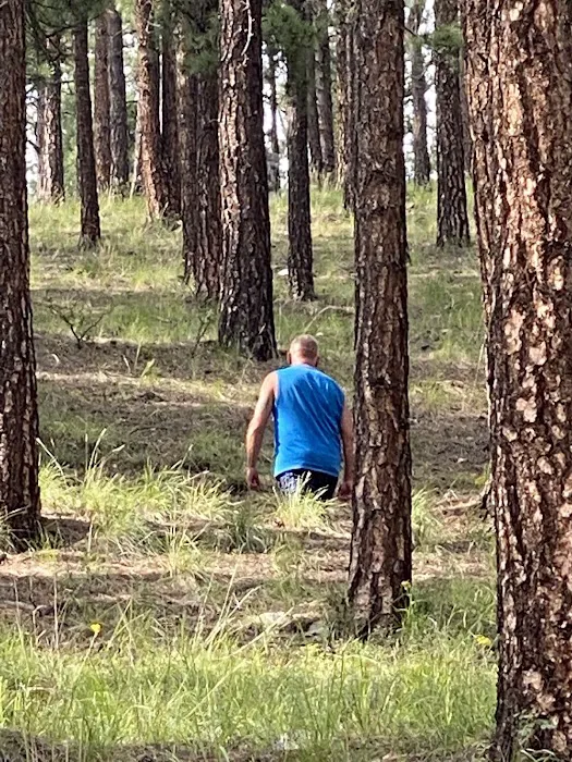 Mora Campground Picture 1