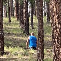 Mora Campground ico