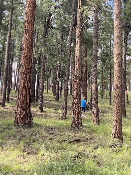 Mora Campground Picture 2
