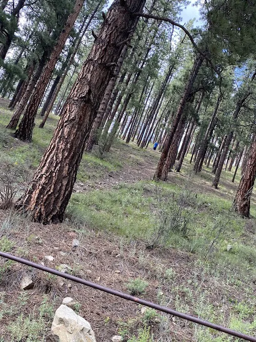 Mora Campground Picture 6