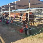 McGee Park San Juan County Fairgrounds