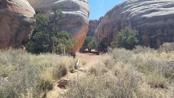 EC1 Campground Picture 10
