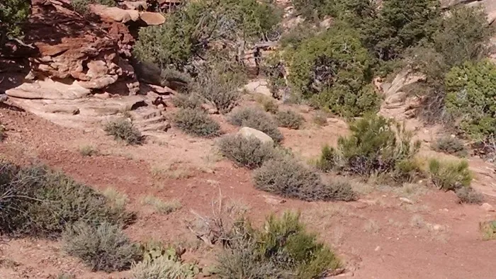 EC3 Campground Picture 6