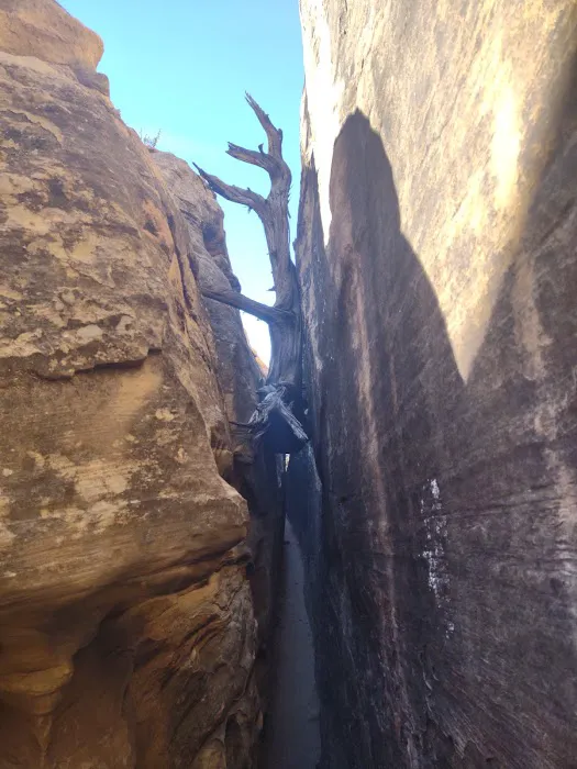 Devils Kitchen Campground Picture 6