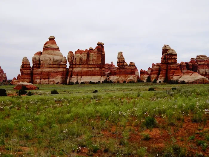 CP4 Campground Picture 10