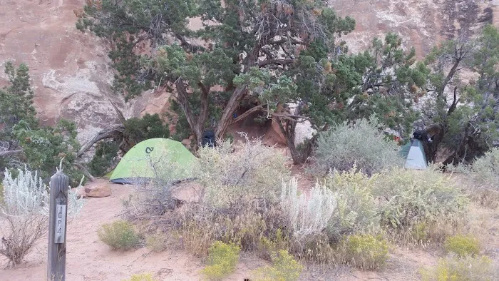 CP4 Campground Picture 9