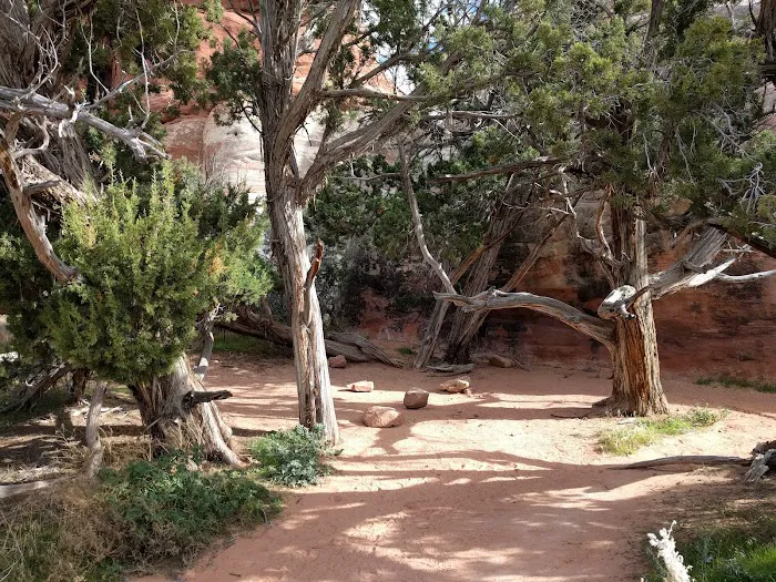 CP3 Campground Picture 9