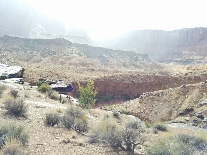Syncline Campground Picture 7