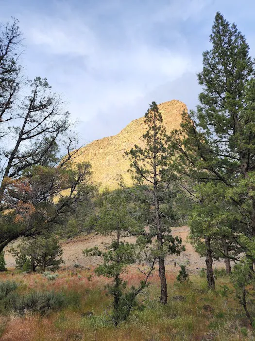 Castle Rock Campground Picture 5