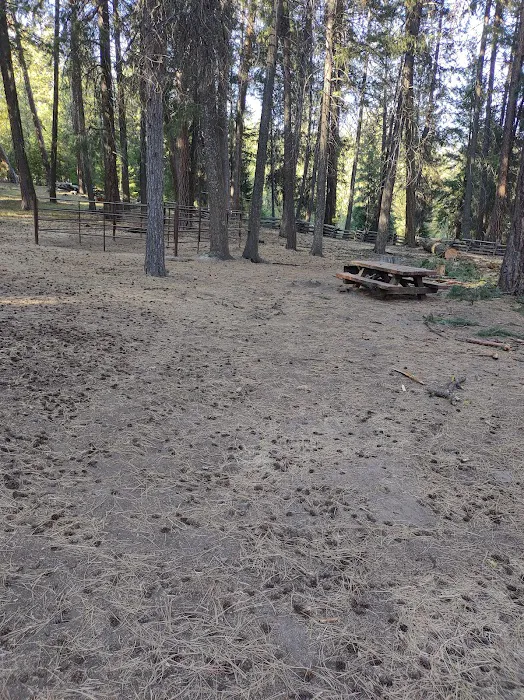 Dry Creek Horse Camp Picture 3