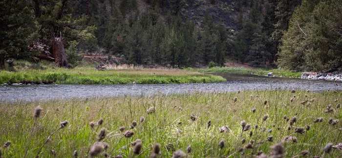 Lone Pine Campground Picture 1