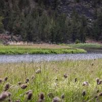 Lone Pine Campground ico